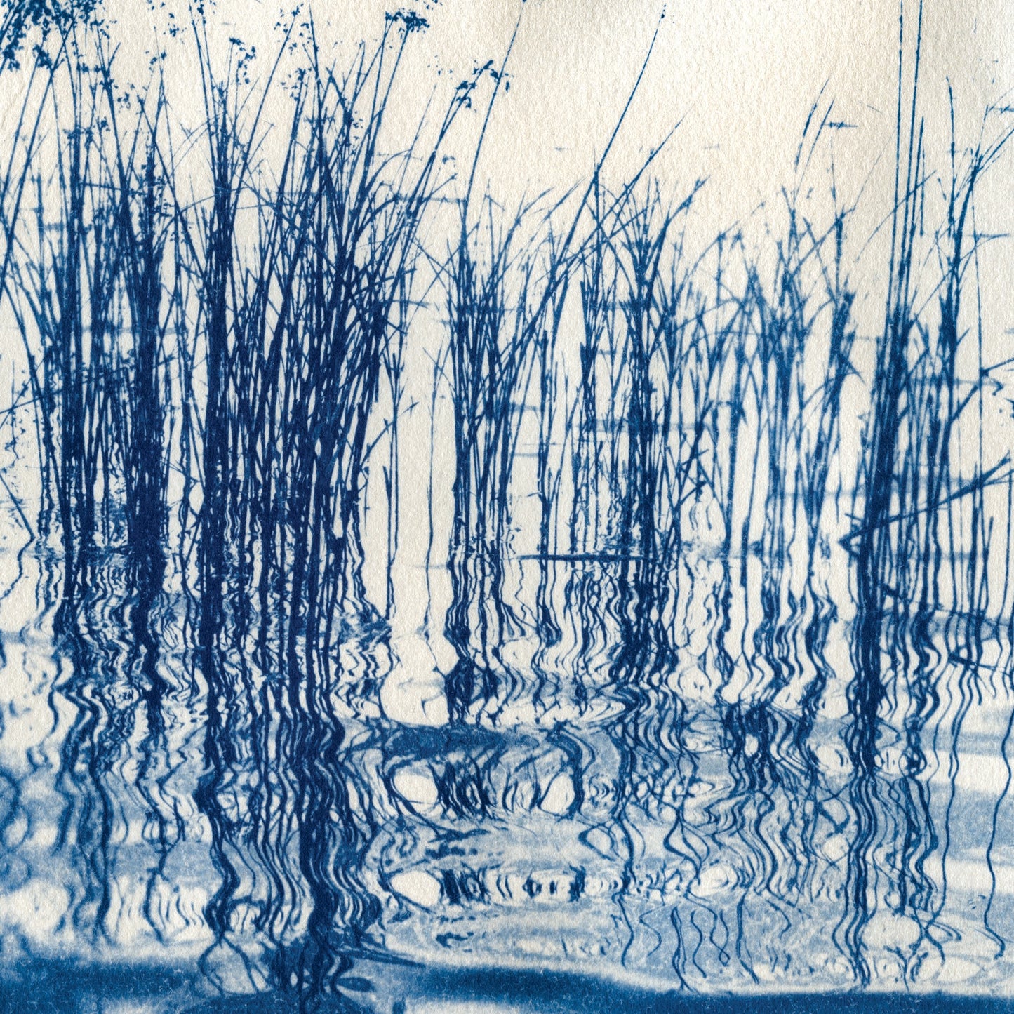Fine art cyanotype print of Walden Pond in Concord MA