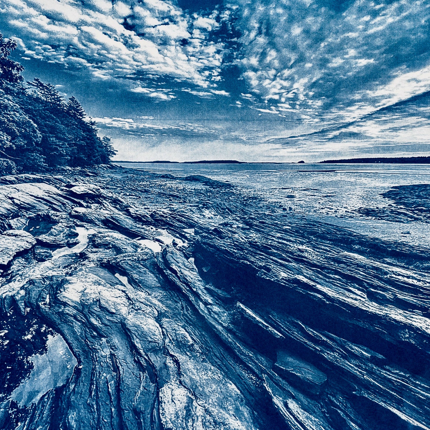 Fine art cyanotype landscape print of Wolfe's Neck in Freeport Maine