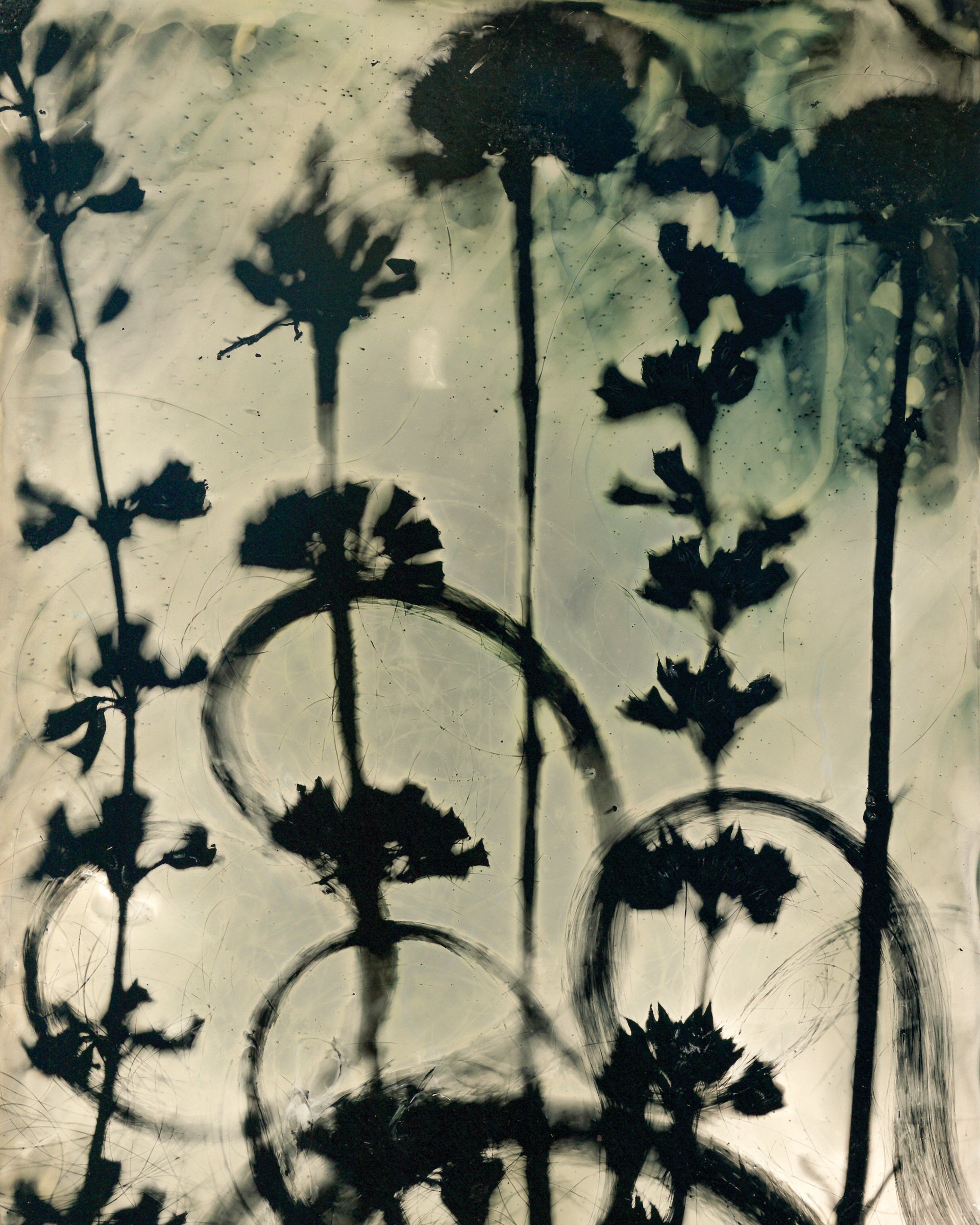 Abstract Meadow Fine Art Photogram Print