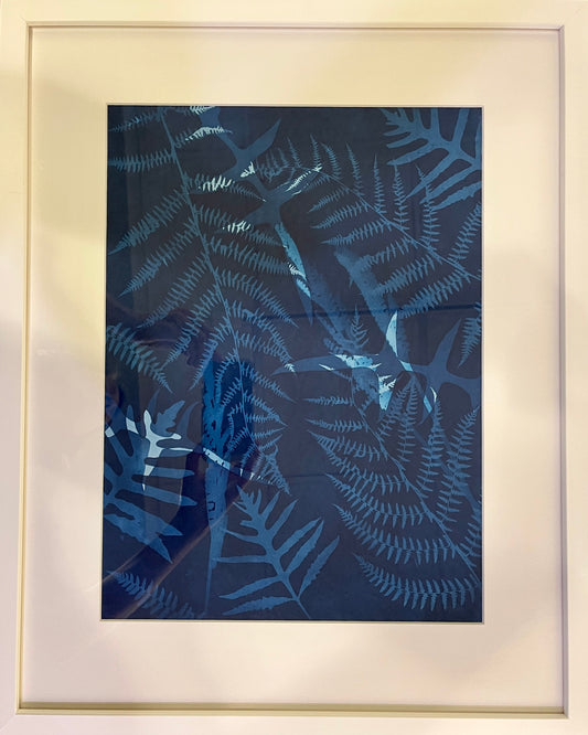Matted and Framed Fern Cyanotype 2