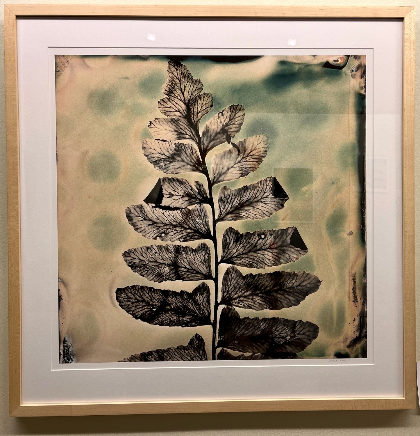 "Polka-Dotted Fern" Matted and Framed Fine Art Botanical Print