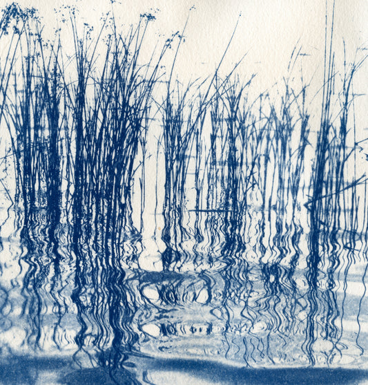 "Walden Pond 2" Fine Art Print
