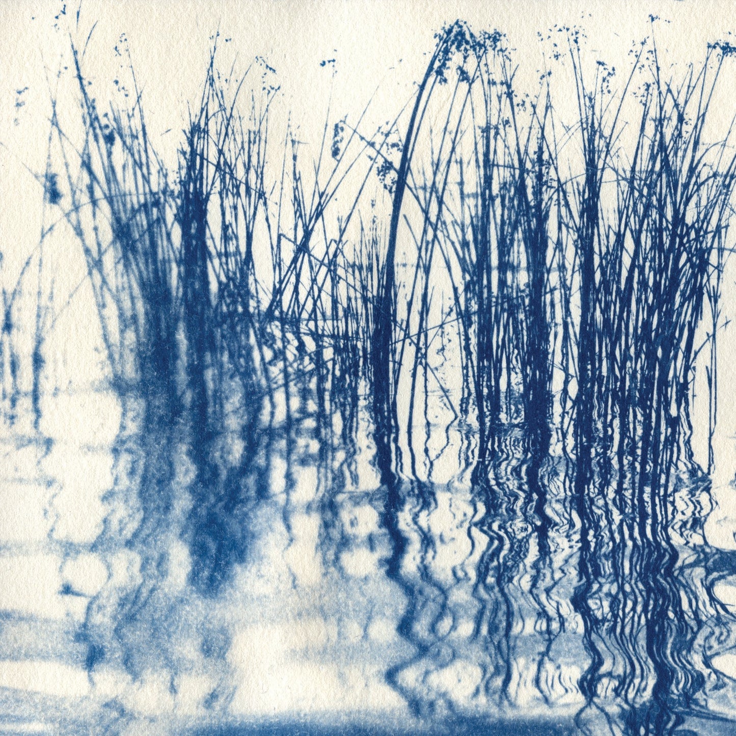 Fine art cyanotype print of Walden Pond in Concord MA