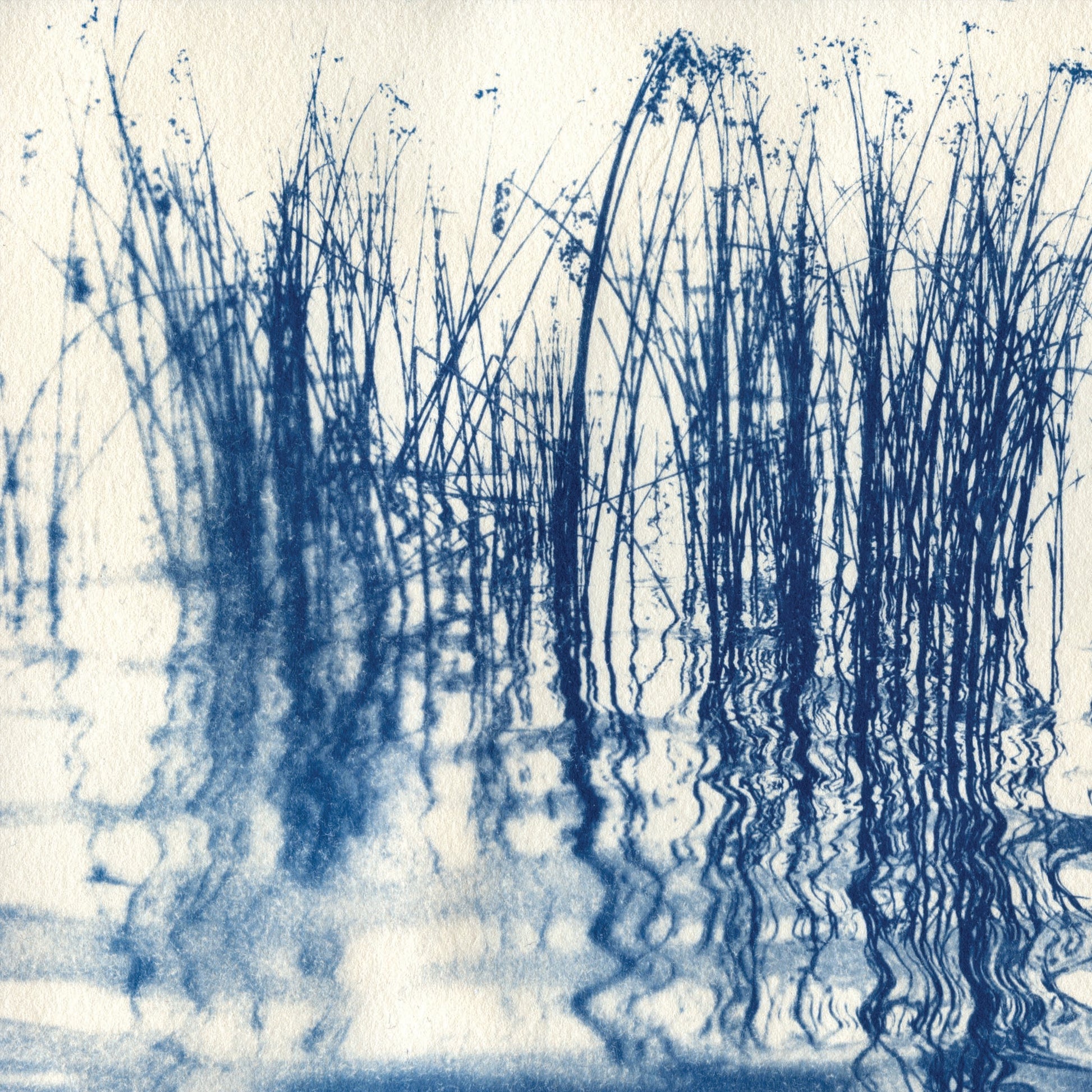 Fine art cyanotype print of Walden Pond in Concord MA