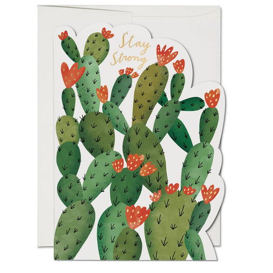 Stay Strong Cactus Greeting Card