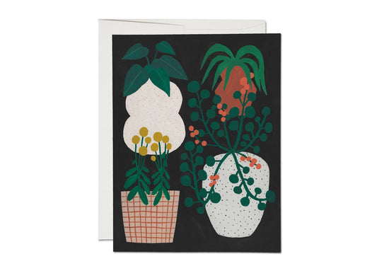 Indoor Plants Everyday Greeting Card